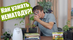 Нематода в огороде: 3 эффективных способа избавиться от нее!