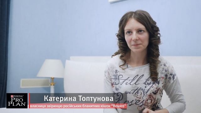 Русская голубая кошка – все о породе кошек смотреть онлайн