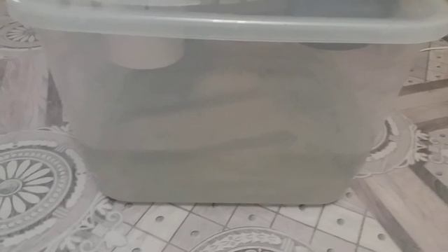 Водяной очиститель воздуха- простой способ. смотреть онлайн