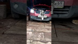 Светодиодные лампы на Ниссан Кашкай