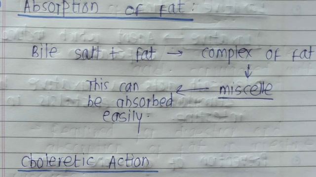 FUNCTIONS OF BILE SALT||SAQ||MBBS GIT PHYSIOLOGY||physiology revision смотреть онлайн