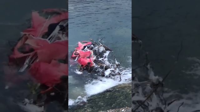 ?Лазаревское сегодня! 25 Февраля 2023 Года! Клубок Колючей Проволоки на Норш Энде!?? смотреть онлайн