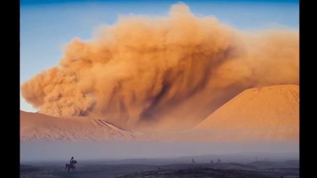 Dust In The Wind. смотреть онлайн