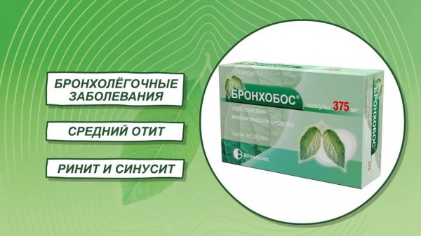 Бронхобос. Студия Эльф.