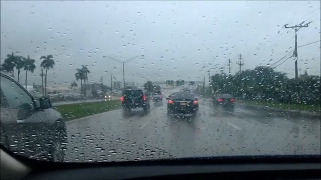 Утки, смешные лягушки, ливень, мой первый брощ... Жизнь прекрасна. смотреть онлайн