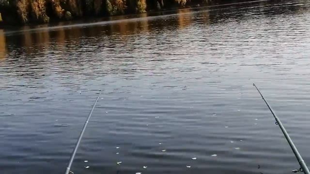 любимая река ТАГИЛ!!! но клев себя не ПРОЯВИЛ!.. смотреть онлайн