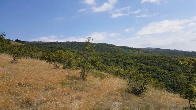 Кабардинка подъем в горы вид с гор смотреть онлайн
