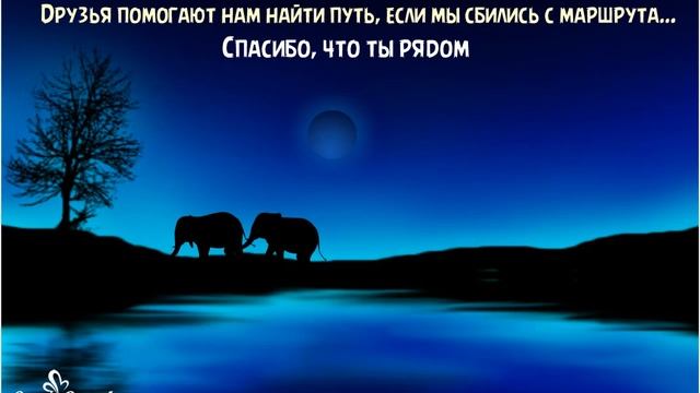 Спасибо, что ты рядом на каждом шаге моего пути! смотреть онлайн