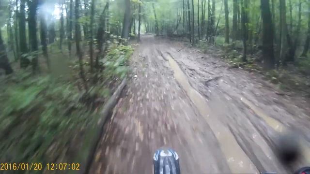 Катка на питбайке по лесам МО смотреть онлайн