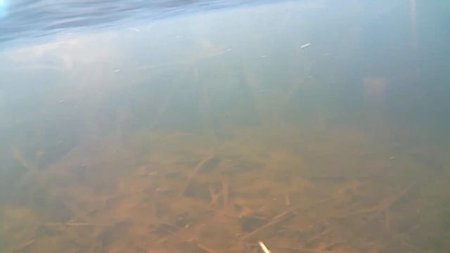 Охота в чистой воде смотреть онлайн