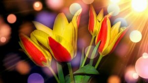 Футаж. Цветочный фон 82