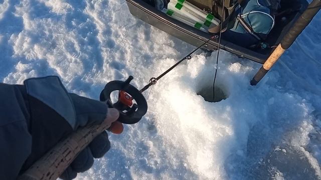 Новая катушка на судака и других... Подшипники. смотреть онлайн