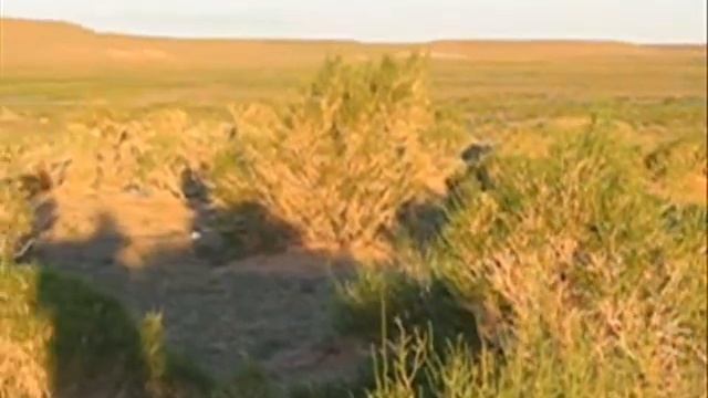 Mongolië 2007 смотреть онлайн
