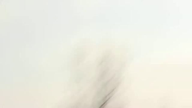 Чудесный день?? #силаСибири2016 @ п.Степной 21.02.2016 смотреть онлайн