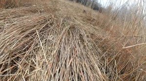 ВЕЗДЕХОД ПЕРЕЛОМКА С КАБИНОЙ И ЖИЛЫМ КУНГОМ