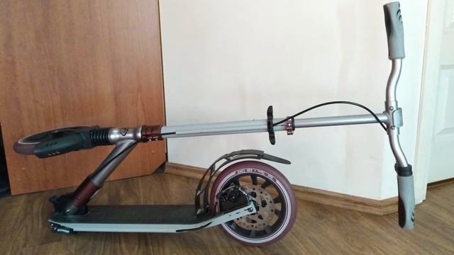 Самокат TechTeam Sport 230R 2020