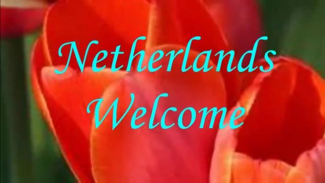 Ах, тюльпаны, нежные цветы ✿ܓ Netherlands TRAVEL смотреть онлайн