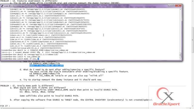 11gR2 RAC to NonRAC Software and Database Clone смотреть онлайн