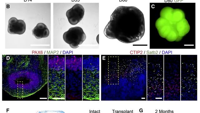 Землетрясения в Турции – что дальше? Восприятие времени. Нейросеть и экзамены. Новости QWERTY №247 смотреть онлайн
