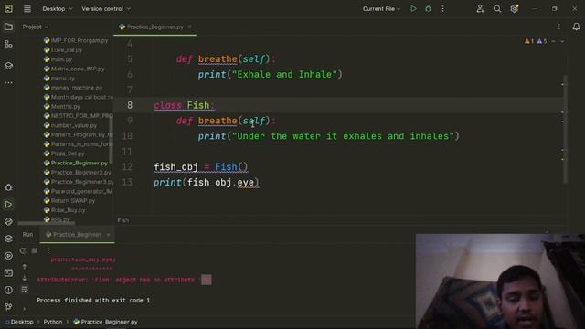 About Class Inheritance in Python Programming language смотреть онлайн