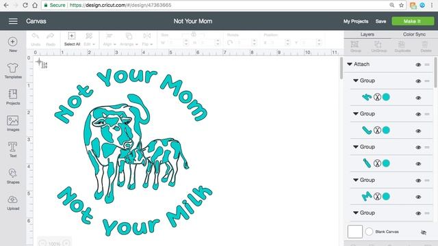 My Cricut Isn't Cutting In Cricut Design Space - FIX - No Error Message - File Corrupted смотреть онлайн