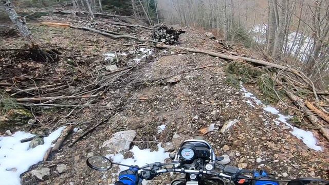 Test HONDA SLR 650 Kamnik Suhovara Žabar Veprnja смотреть онлайн