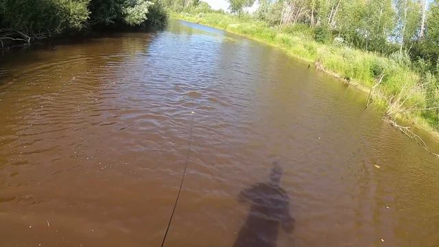 ПОЙМАЛ КРУПНОГО САЗАНА И ПОСАДИЛ СЕТЬ НА КОРЯГИ!!! ЭТО БЫЛА ЕЁ ПОСЛЕДНЯЯ РЫБАЛКА... смотреть онлайн