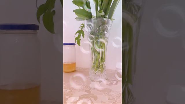 ДОМОХОЗЯЙКА МИНУСЫ смотреть онлайн