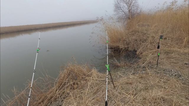 РЫБАЛКА на РЕЧКЕ Ловля КРАСНОПЕРКИ Угай на ДОНКУ.
#жекарыболов #ловлякрасноперки смотреть онлайн