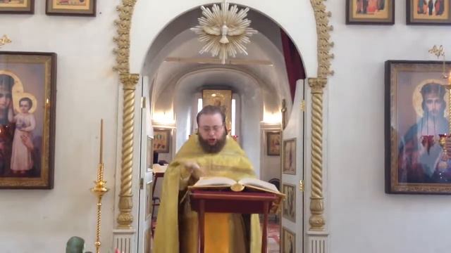 Сурдоперевод Евангелия от Луки гл.5 ст.1-11; Зач.17, гл.6 ст.17-23; Зач.24 смотреть онлайн