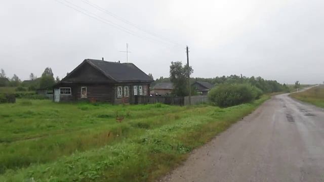 Дика и Дисота мои собаки  бег в деревне