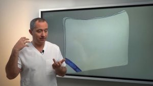 Подушка для сна Dr. Shishonin!