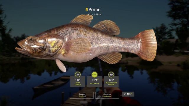 Русская рыбалка 4 - оз.Комариное - пойман трофей Ротан смотреть онлайн