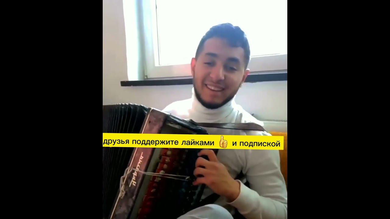 рамир -милая 2023 #цыганскиепесни #цыганепоют #музыка #рамира_таро #рамир #цыганскиепесни #ro смотреть онлайн