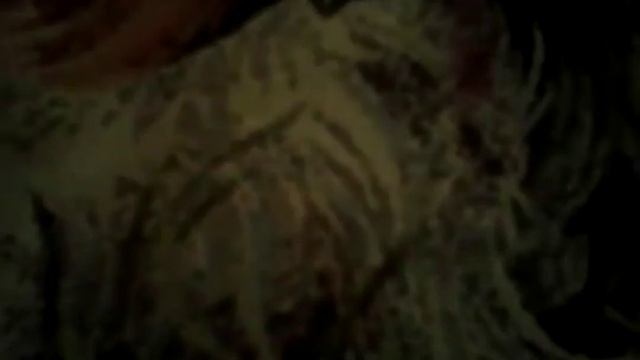 как сделать бсплатный вайфай смотреть онлайн