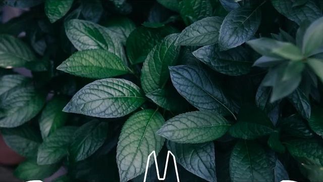 а р т у р п и р о ж к о в - з а ц е п и л а смотреть онлайн