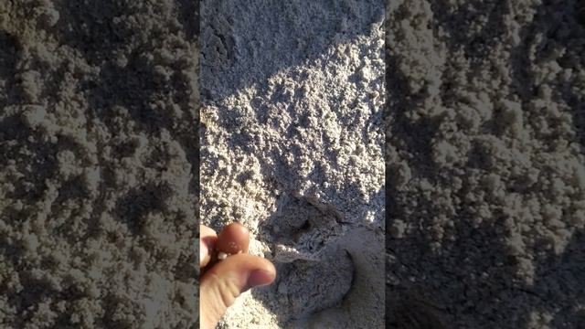 Песок крупнозернистый кварцевый смотреть онлайн