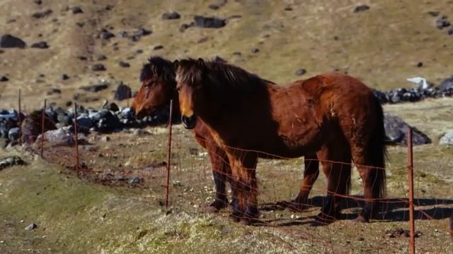 Inspirational Background Music for Videos & Success Presentation - Royalty Free смотреть онлайн