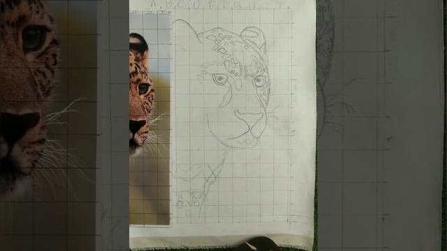 Learn to draw Grid for Sketch | make Drawing with grid | #Drawing for beginners | part 2 смотреть онлайн