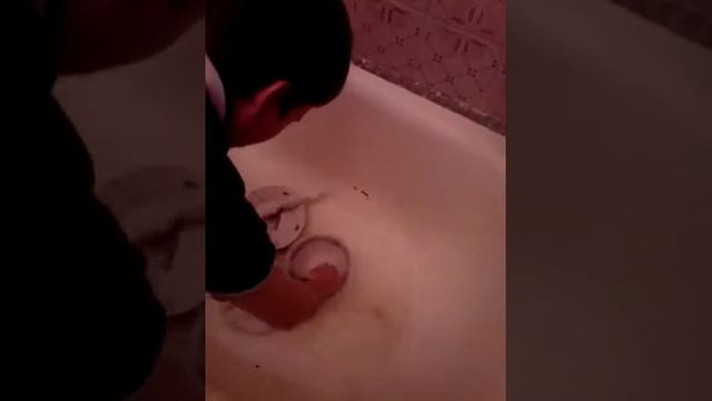 Как правильно надо мыть посуду! смотреть онлайн