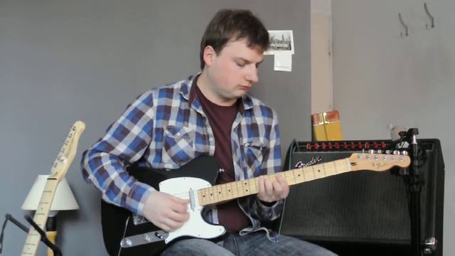 Fender Telecaster Standard (Player) And Fender Princeton Chorus USA