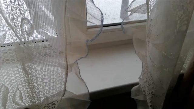 Кормушка для птиц_ Кошки наблюдают за птицами смотреть онлайн