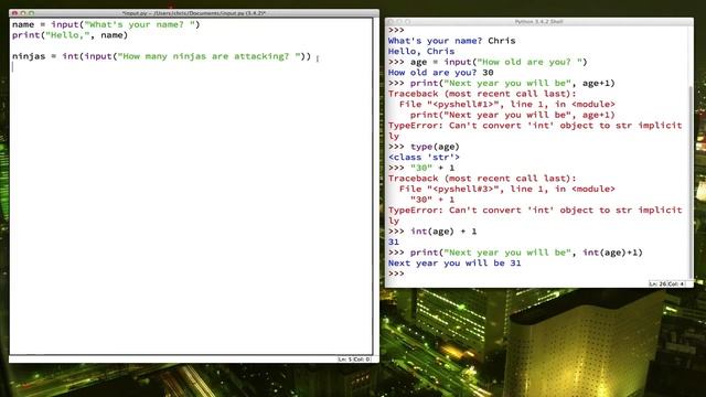 Python for Beginners Lesson 1 7 Input and Conditional Statements1 смотреть онлайн