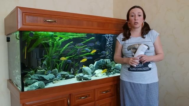 UV-стерилизатор в аквариуме: как этим пользоваться. На примере EHEIM reeflex UV500 смотреть онлайн