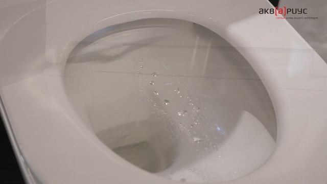 Унитаз-биде Duravit SensoWash Starck f. Функция биде - гигиена без туалетной бумаги. ТТХ, обзор смотреть онлайн