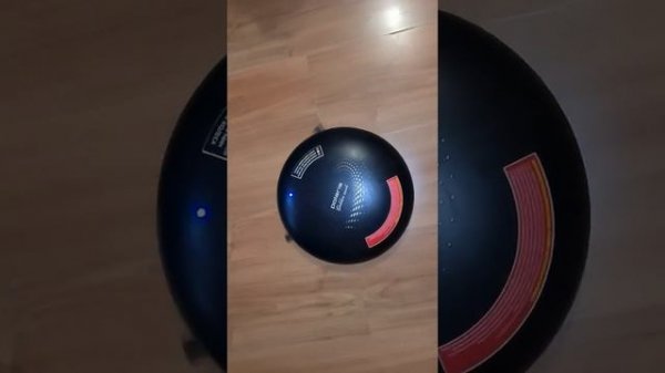 Обзор, Polaris PVCR 1015 Golden rush