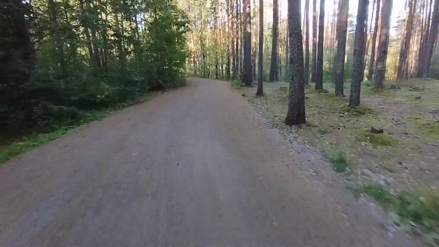 велоспорт - это СИЛА ? смотреть онлайн