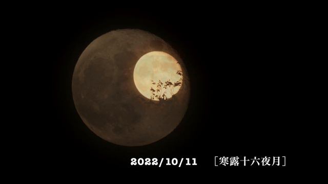 令和四年 十月の“満ち欠け”　　2022/10/01-10/23 смотреть онлайн
