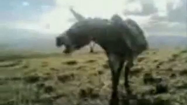 азербадымджанский мулла смотреть онлайн