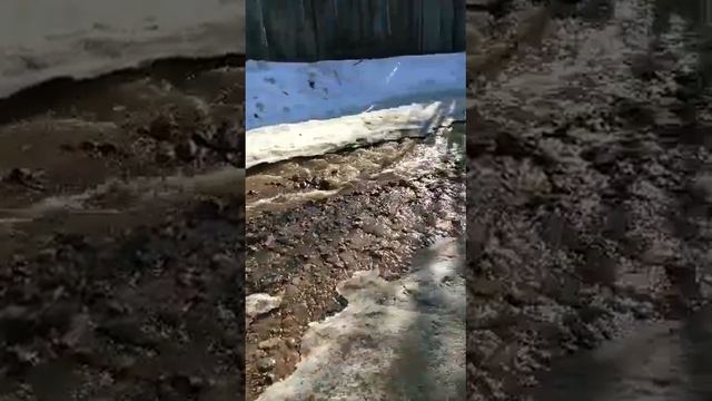 СНЕГ ТАЕТ НА ДАЧЕ, А ТЕКУТ РЕКИ / rivers of meltwater flow in the country смотреть онлайн